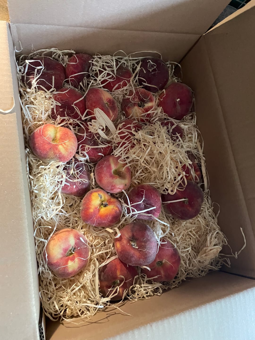 Customer photo review of Weinbergpfirsiche gelb & weiss Bio von Jose Sonderpreis %