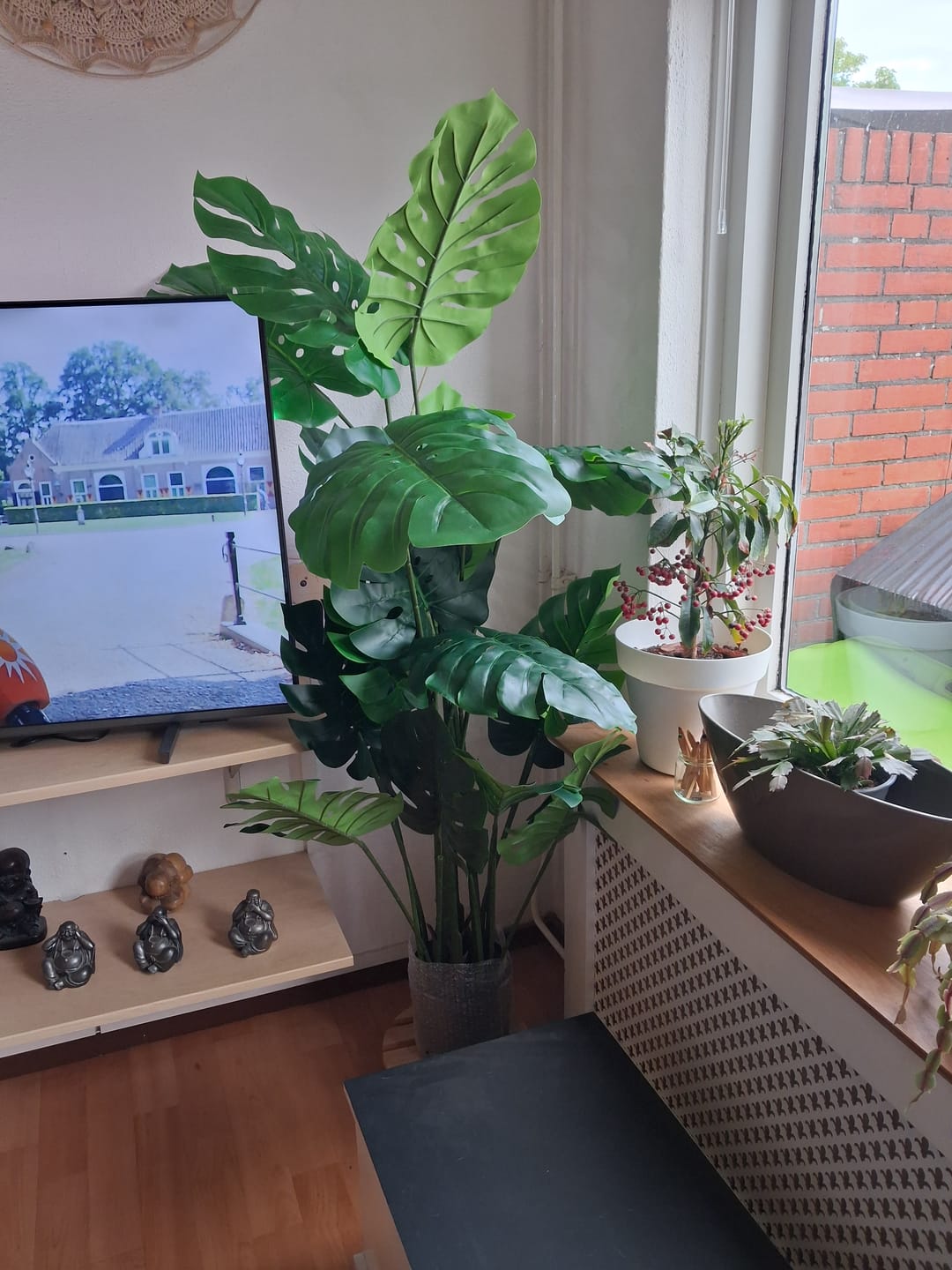 Customer photo review of Monstera Kunstplant 165cm