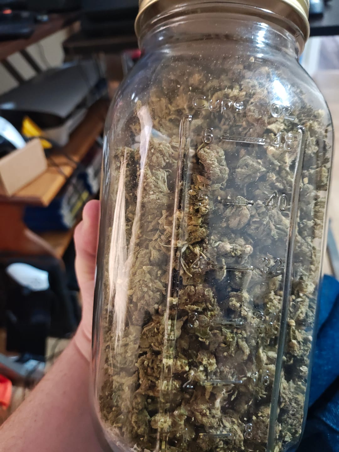 Customer photo review of Maui Wowie Minis - Bulk Minis - Sativa