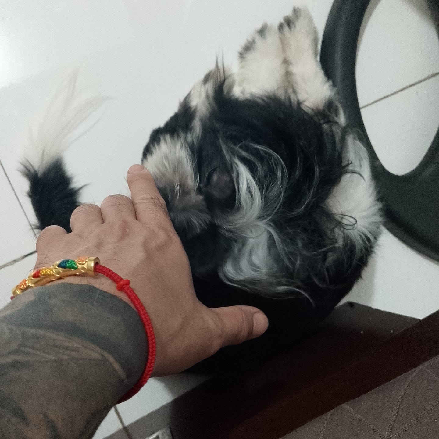 Customer photo review of Red String with Gold Baifu Collection for Luck, Prosperity and Strong Protection
