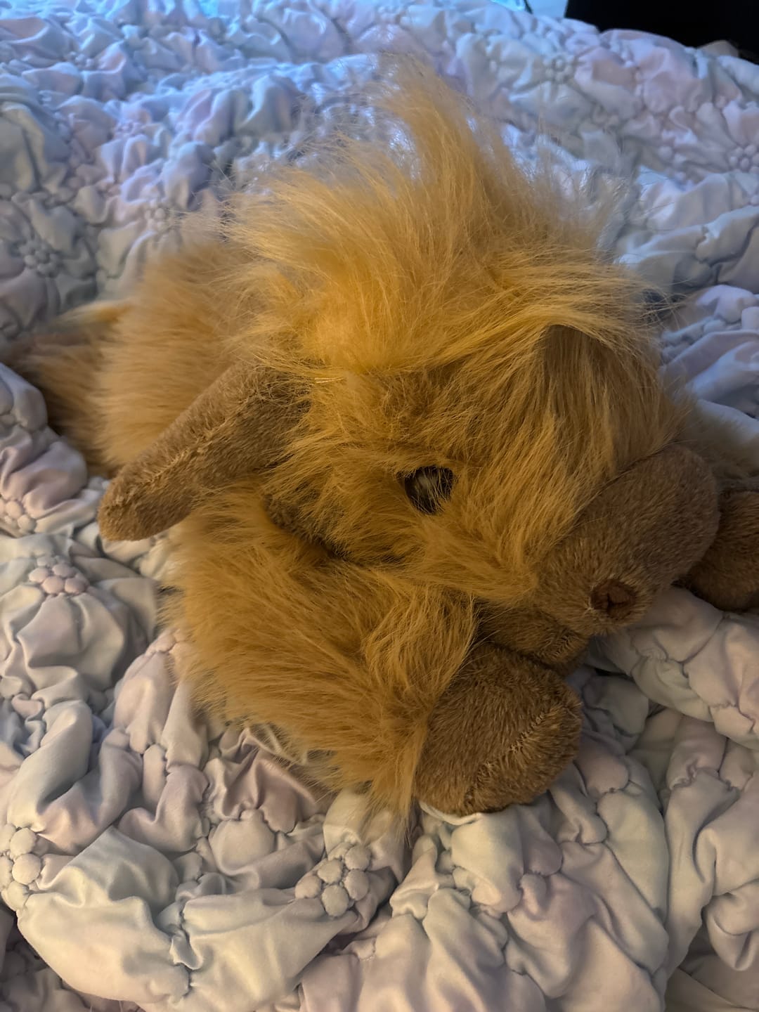 Customer photo review of Highland Cow Weighted Stuffed Animal