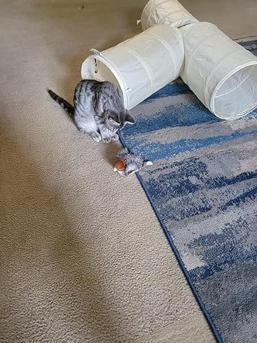 Customer photo review of Motion-Activated Flapping Bird Cat Toy