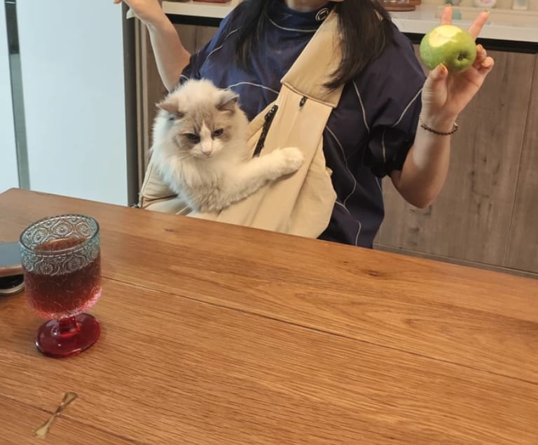 Customer photo review of Ergonomic Portable Hands-Free Pet Sling Carrier