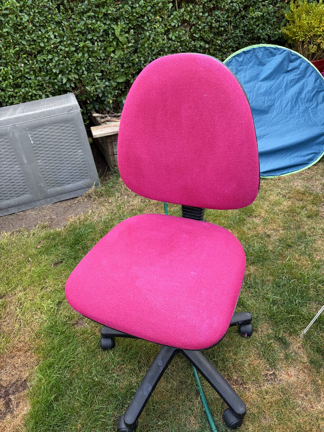 Customer photo review of Fabric Paint -- Raspberry