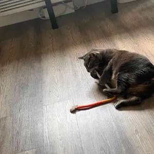 Customer photo review of Cat Chew Rope Toys for Teeth Cleaning