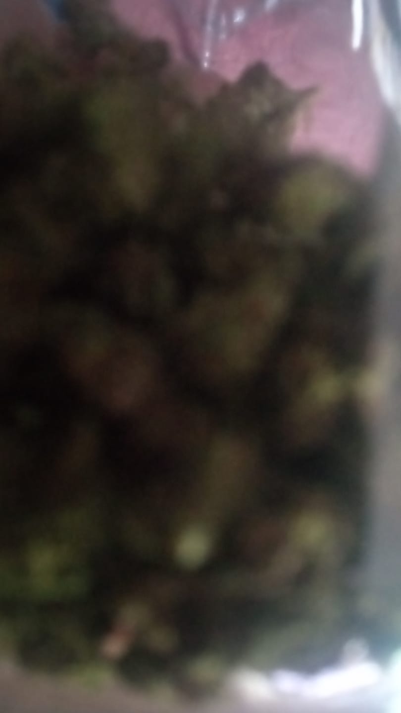 Customer photo review of Raspberry Kush - Minis - 28 Grams - Indica