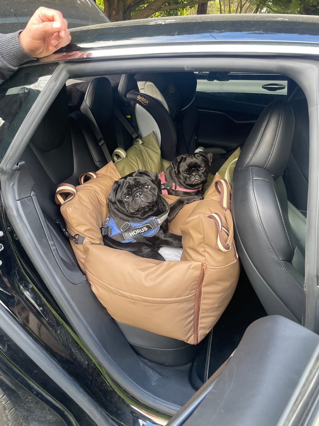 Customer photo review of Boujee Booster