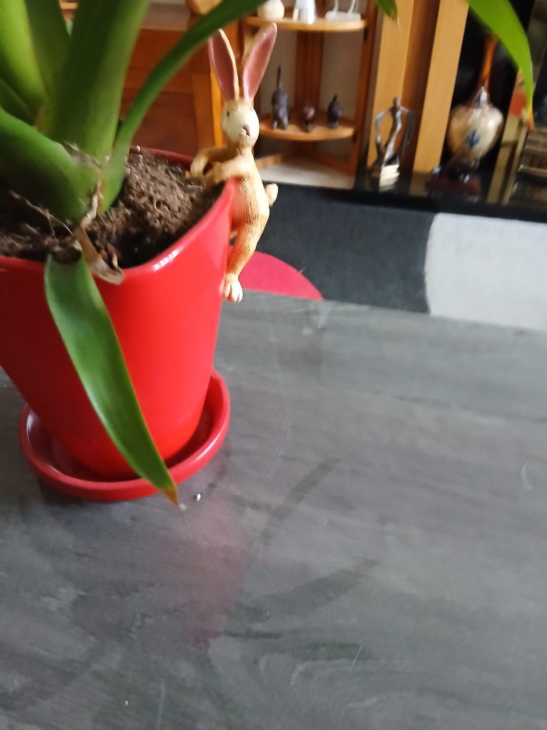 Customer photo review of Jasper Rabbit Pot Hanger