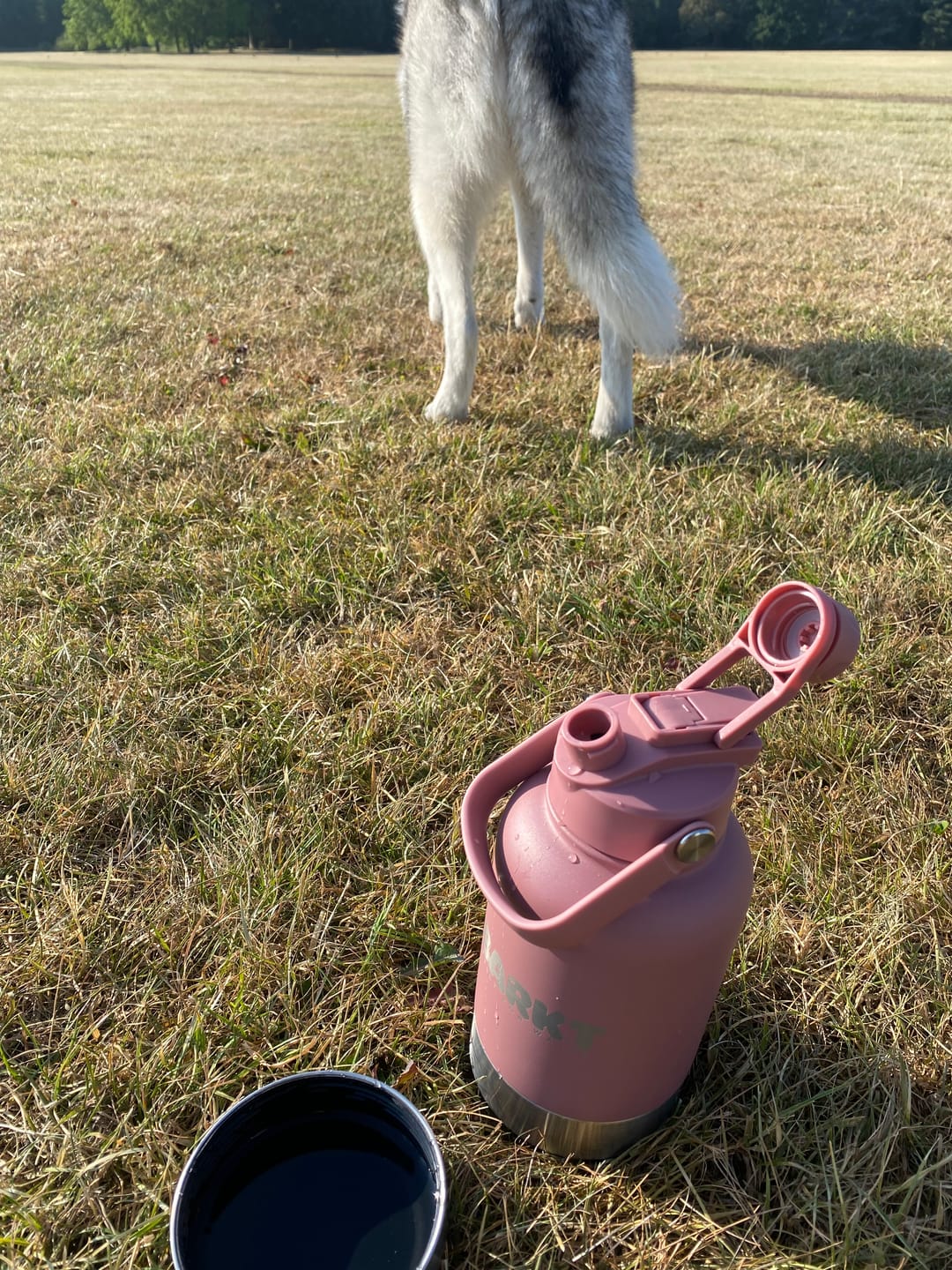 Customer photo review of 3-in-1 – Barkt Bottle & Bag