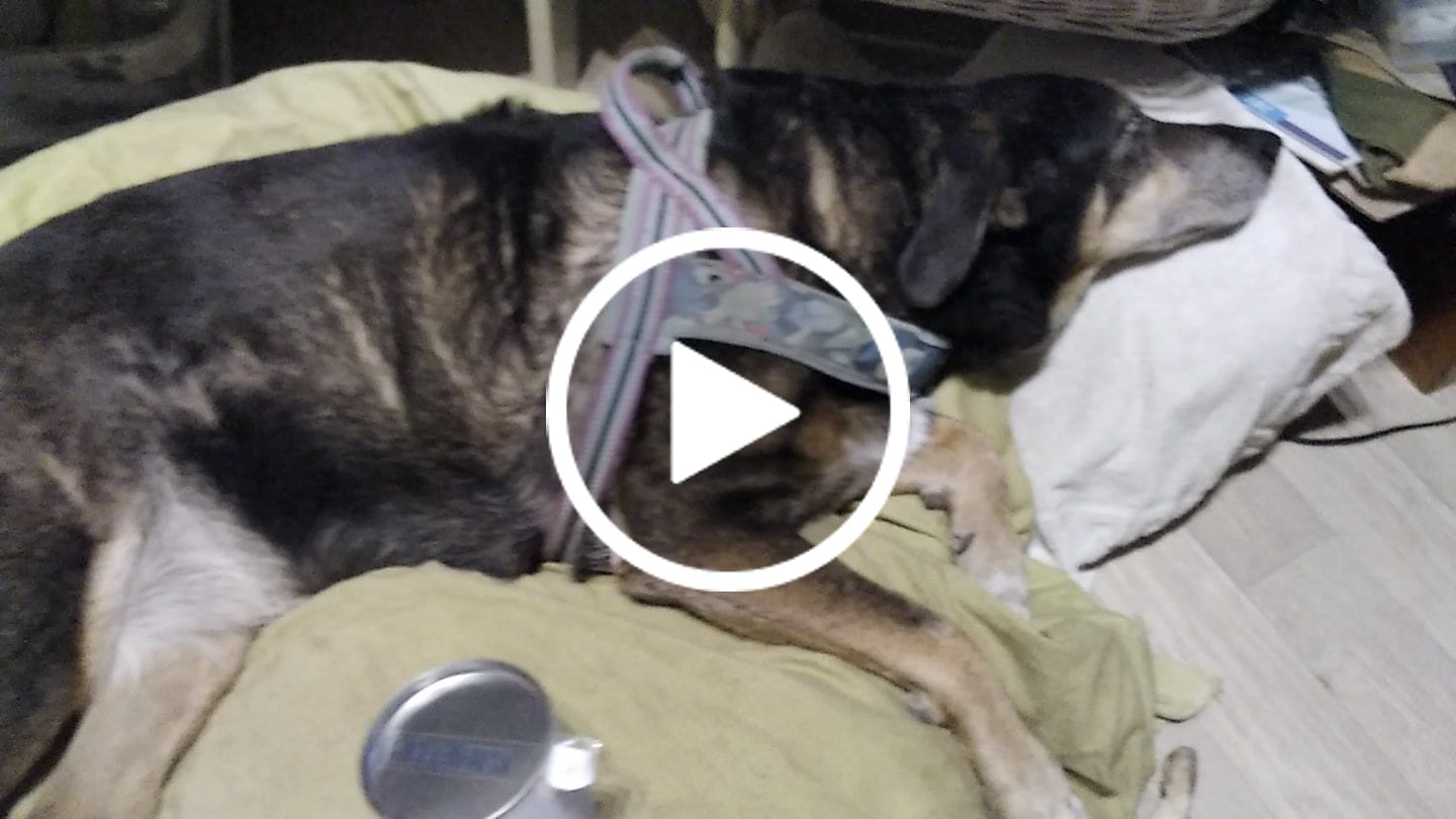 Customer video review of Complément articulations