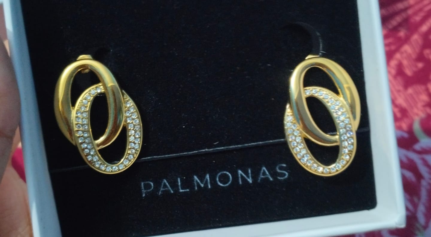 Customer photo review of Elegant Interlinked Stud Earrings