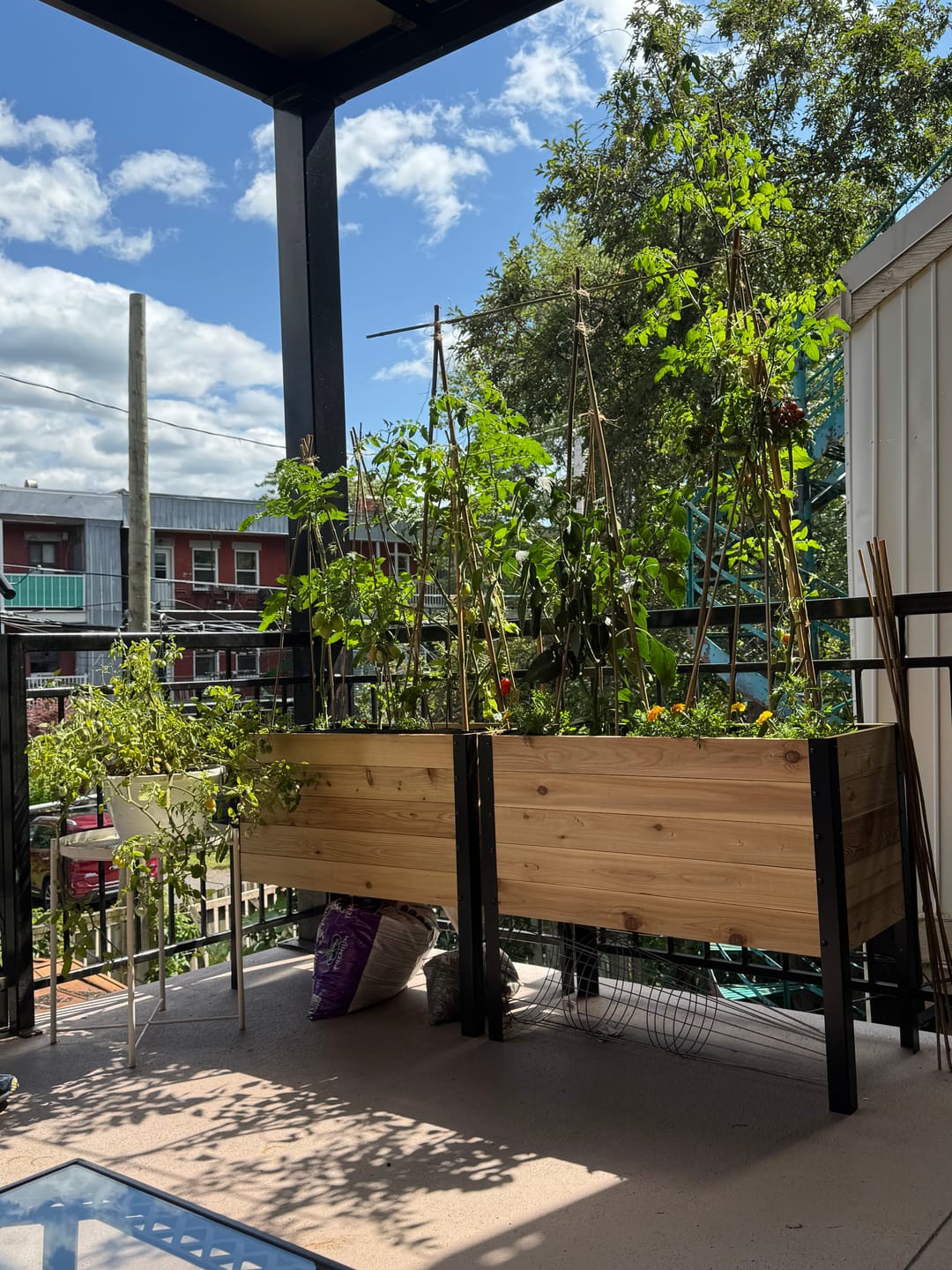 Customer photo review of 18" x 36" Raised Garden Bed - 30" TALL / Select Grade