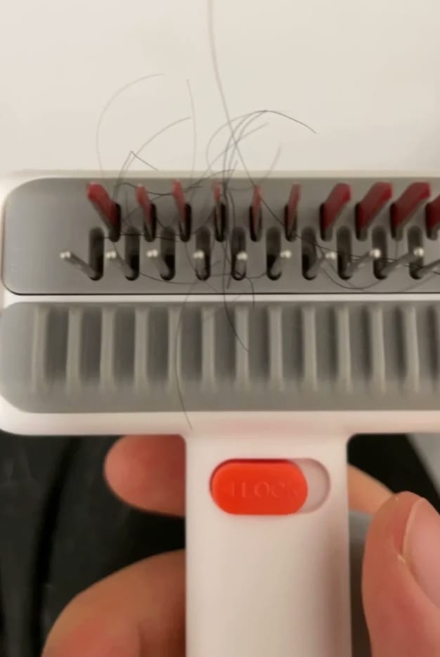 Customer photo review of 2-in-1 Pet Grooming Brush for Dogs & Cats