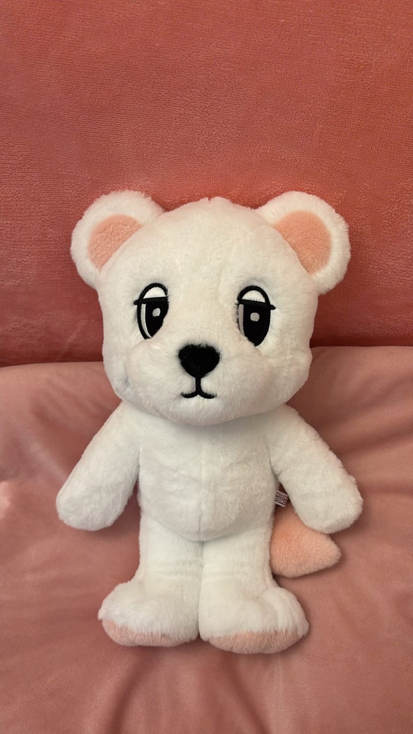 Customer photo review of LEE DONG WOOK [WOOKDONG’s Home Sweet Home] Big Wookdong Plush Doll