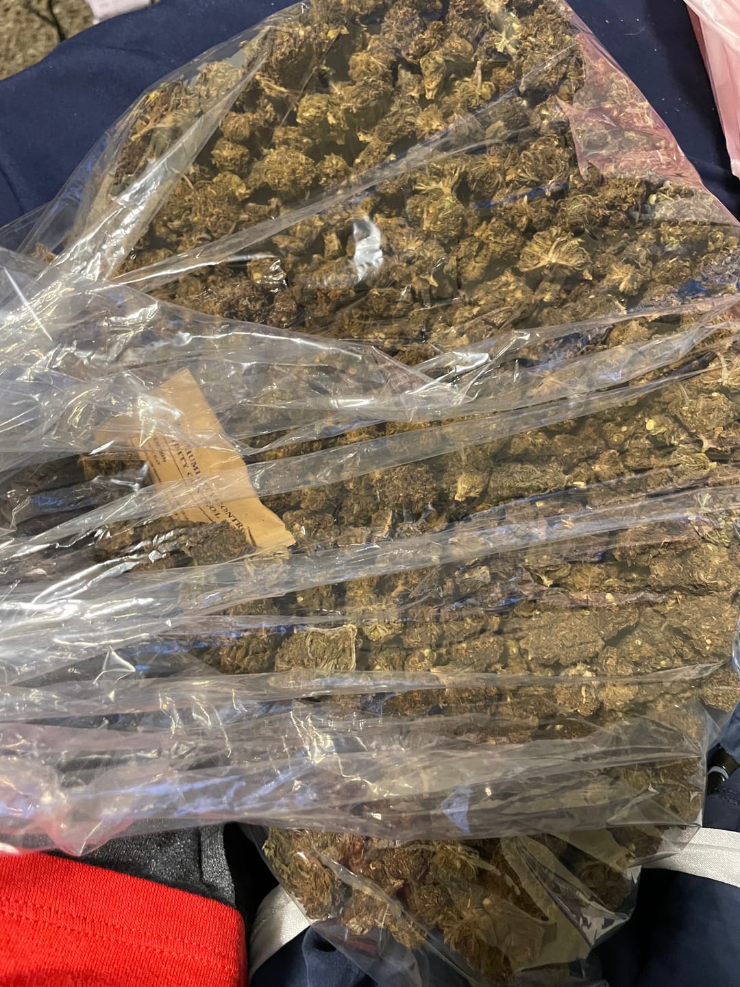 Customer photo review of Butterscotch OG - Bulk - Indica