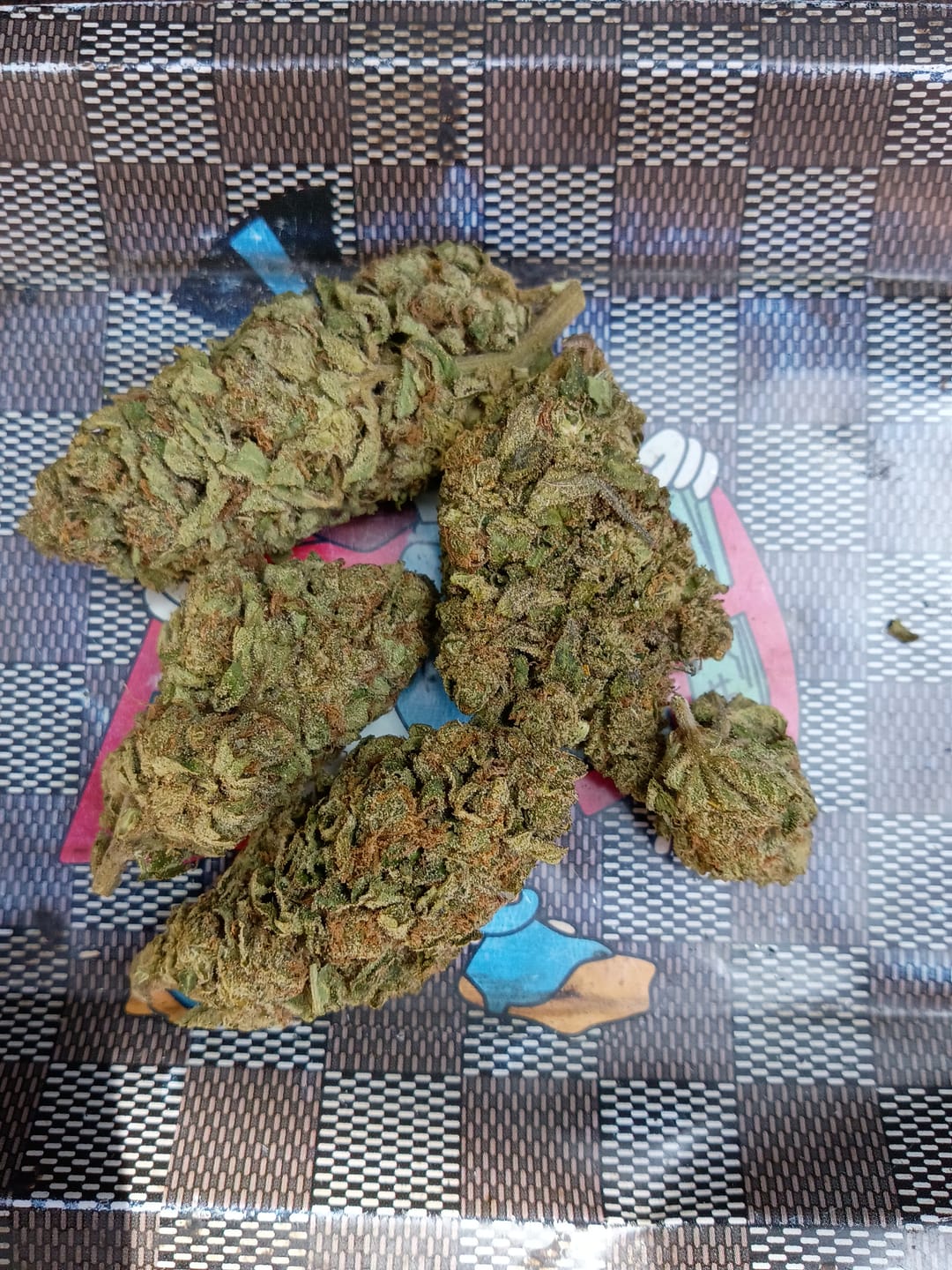 Customer photo review of Candy Gas Light Assist THCA
