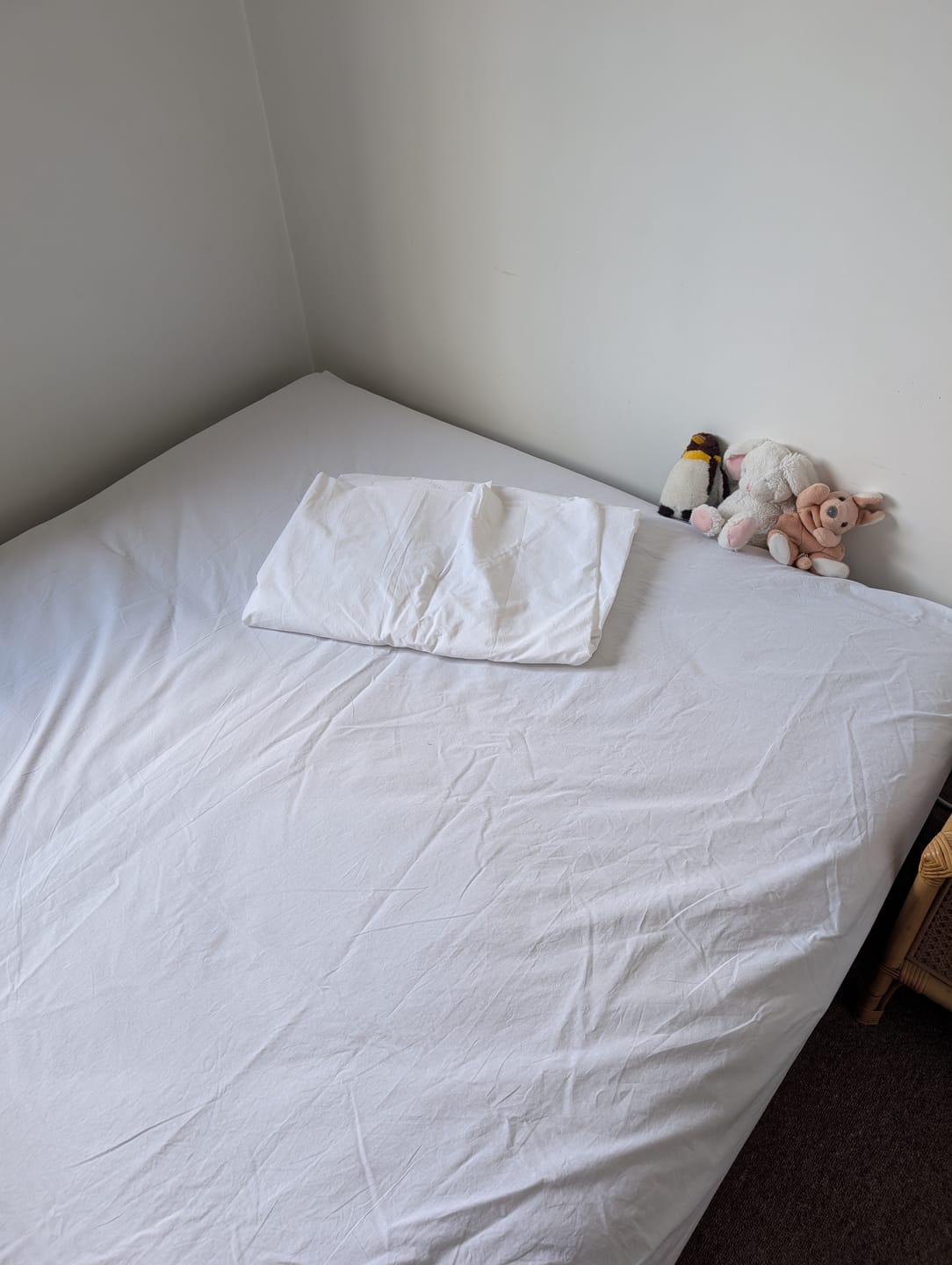 Customer photo review of White Mercerised 100% Cotton Fabric