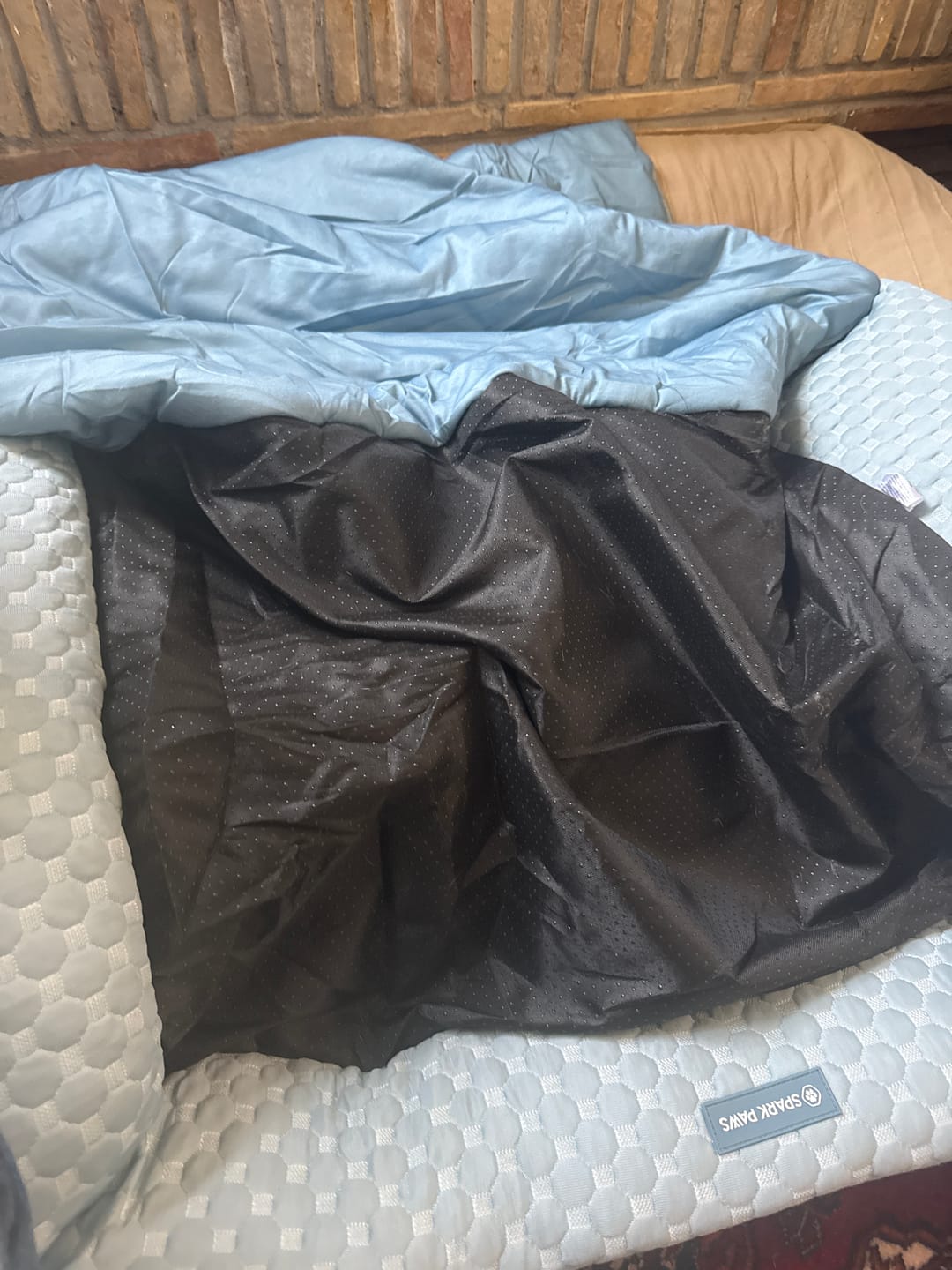 Customer photo review of Frostcore™ Dog Cooling Car Seat Beds