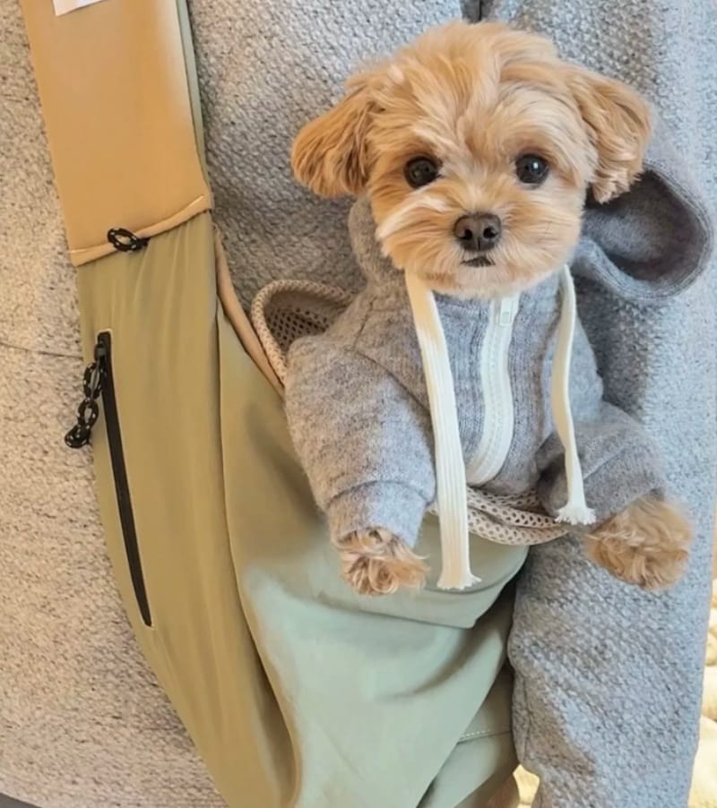 Customer photo review of Ergonomic Portable Hands-Free Pet Sling Carrier