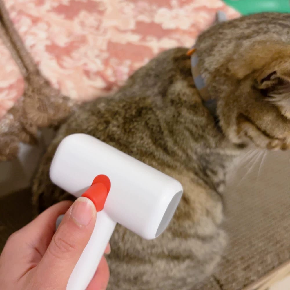 Customer photo review of 2-in-1 Pet Grooming Brush for Dogs & Cats