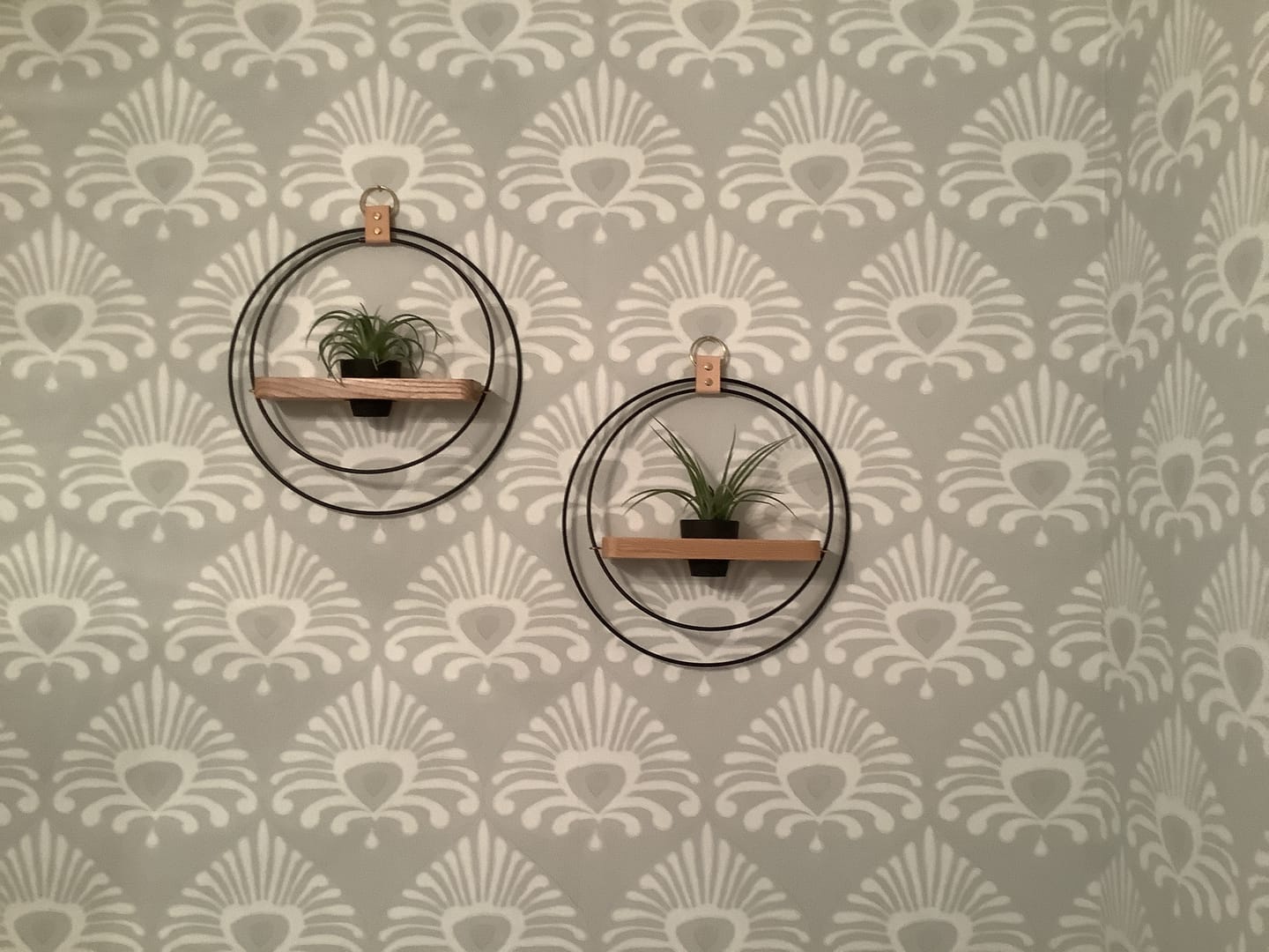 Customer photo review of Air Plant V-Hanger Duo