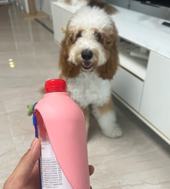 Customer photo review of Portable Dog Water Bottle – Hydration Anywhere