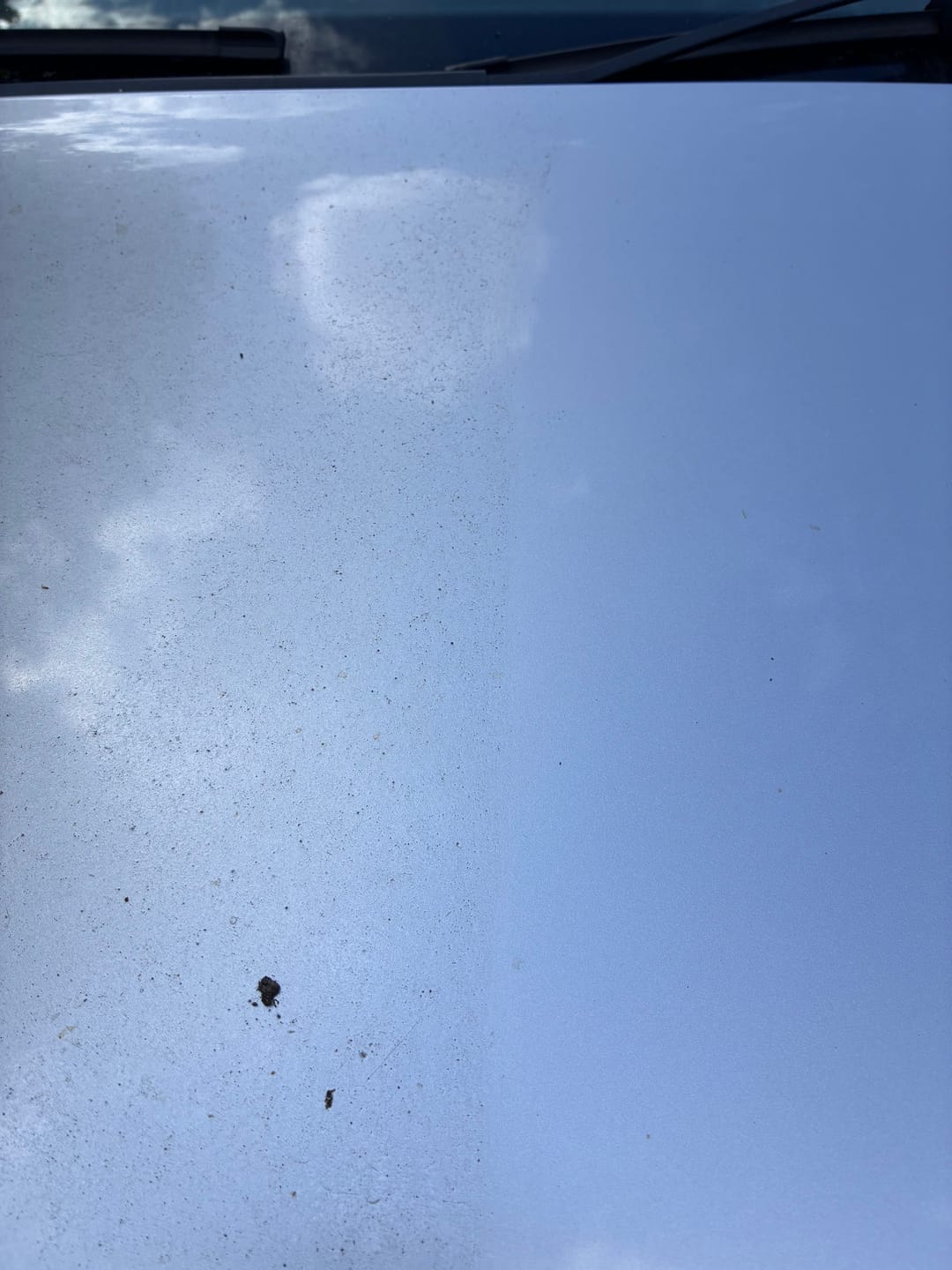 Customer photo review of Caravan Exterior Cleaner®