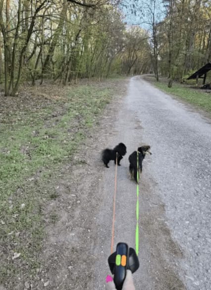 Customer photo review of Tangle-Free Two-in-One Retractable Dog Leash
