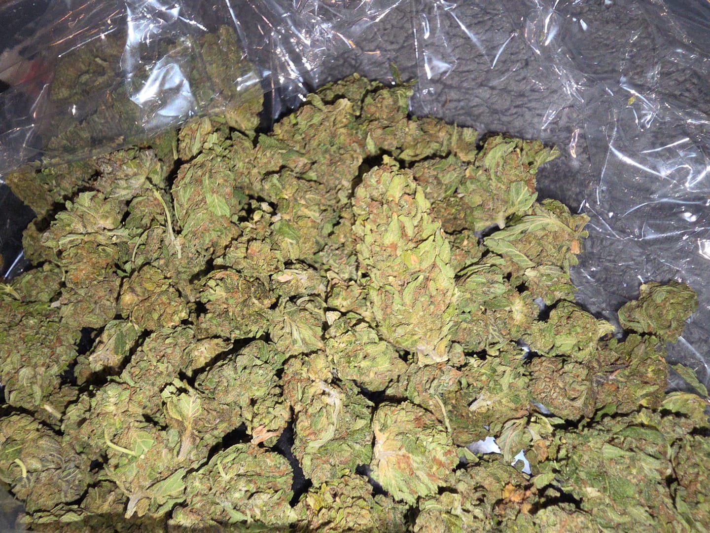 Customer photo review of Blueberry Syrup - Minis - 28 Grams - Indica
