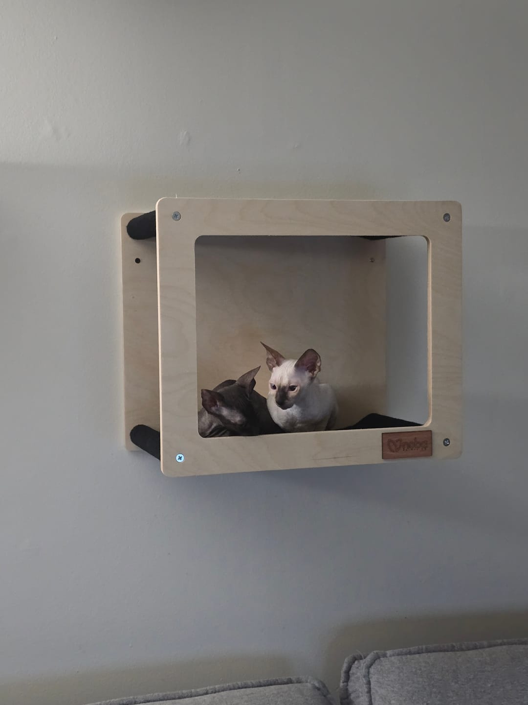 Customer photo review of Wall Mounted, Double Hammock Cat Hidedout