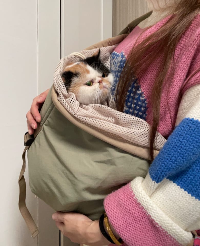 Customer photo review of Ergonomic Portable Hands-Free Pet Sling Carrier