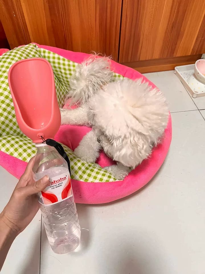 Customer photo review of Portable Dog Water Bottle – Hydration Anywhere