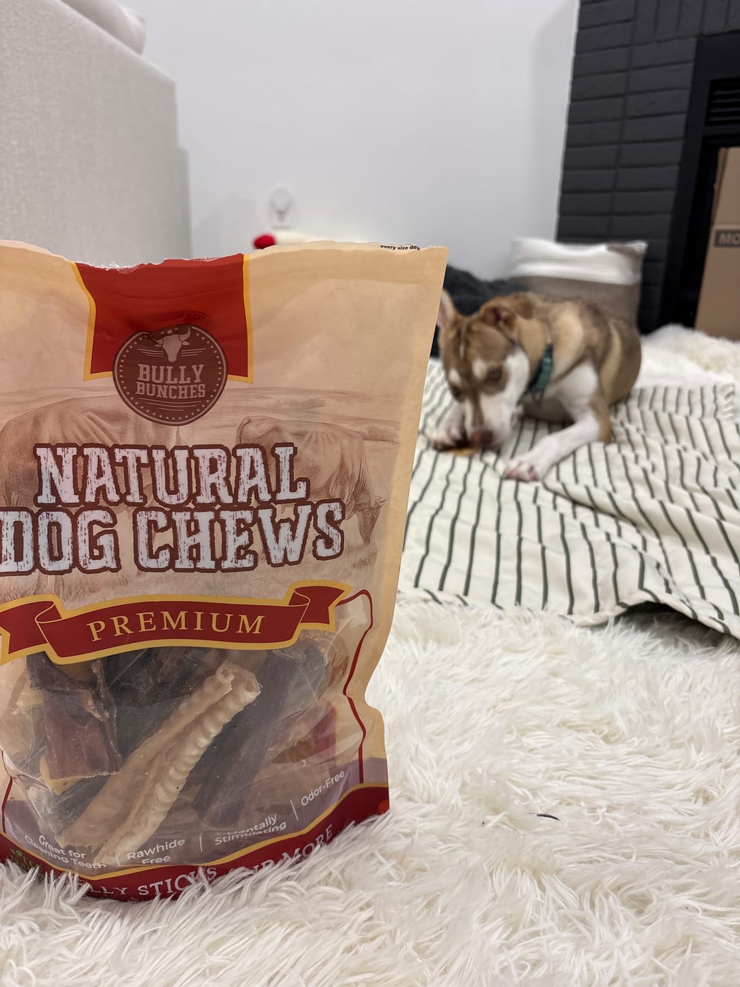 Customer photo review of Trail Mix