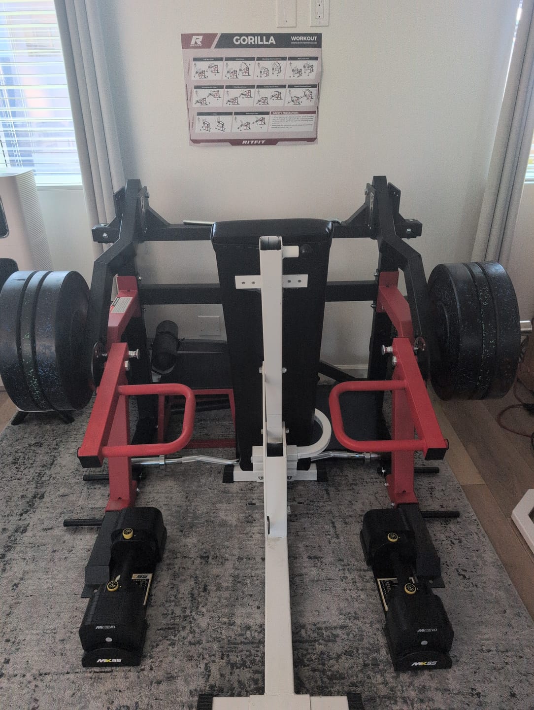 Customer photo review of RitFit Gorilla 2-in-1 Chest and Shoulder Press Machine
