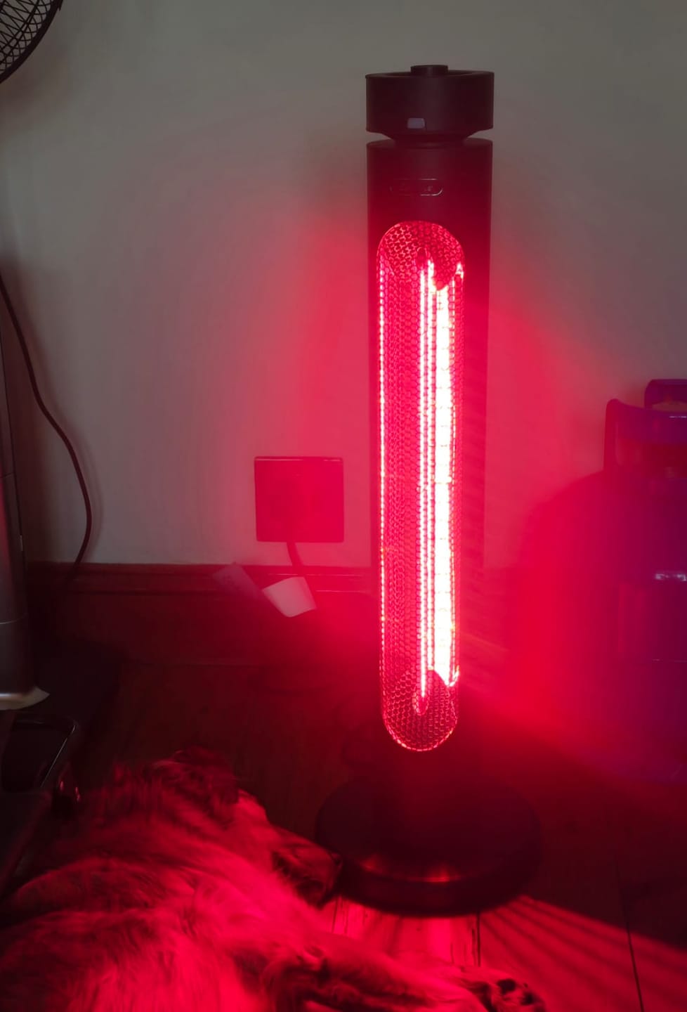 Customer photo review of Indoor & Outdoor Infrared Heater