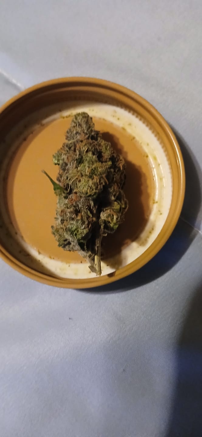 Customer photo review of Headband THCA Flower (Exotic)