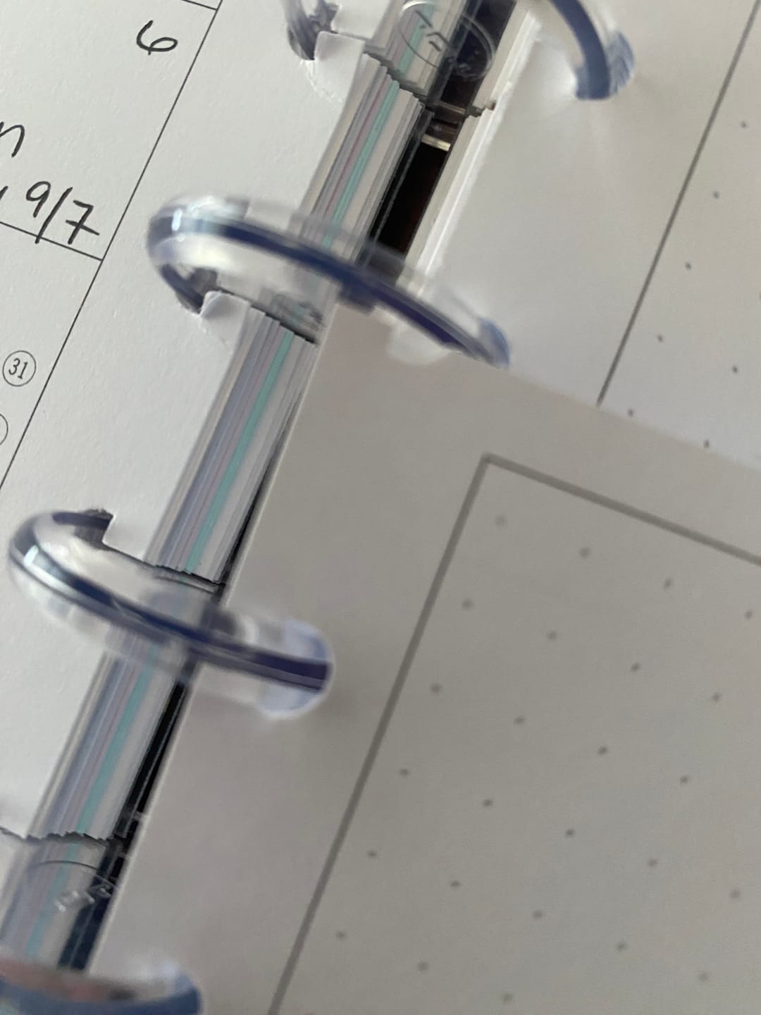Customer photo review of Discbound Planner Cover | Dewdrop