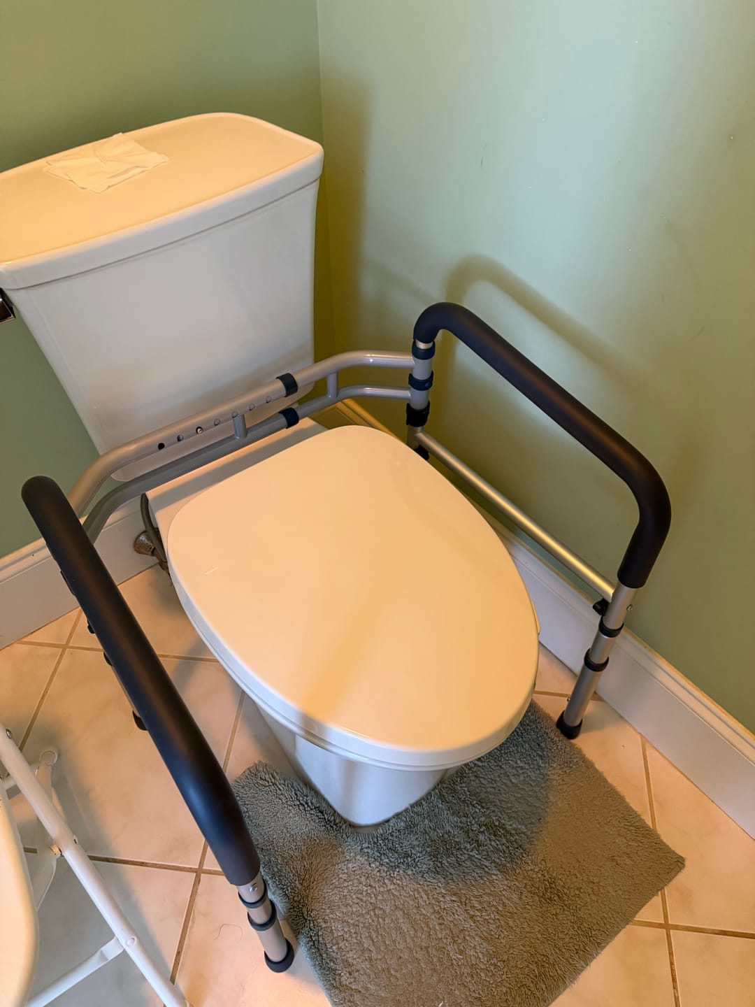 Customer photo review of Toilet Safety Rail (350lb)