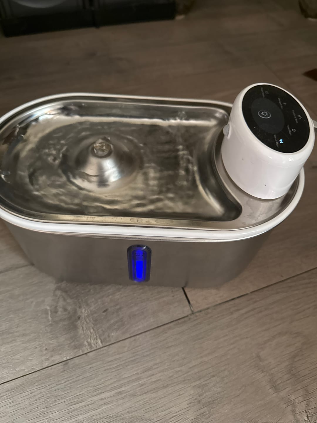 Customer photo review of Petbuds Flow Pet Drinking Fountain