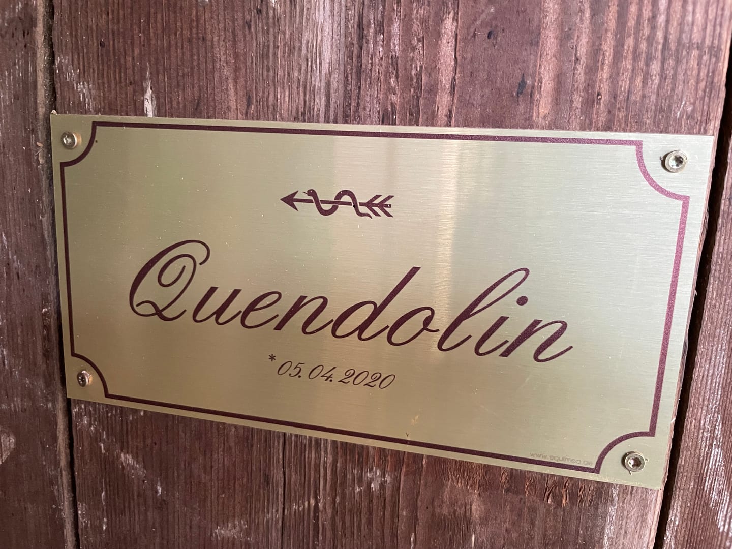 Customer photo review of Boxenschild Cavaletti