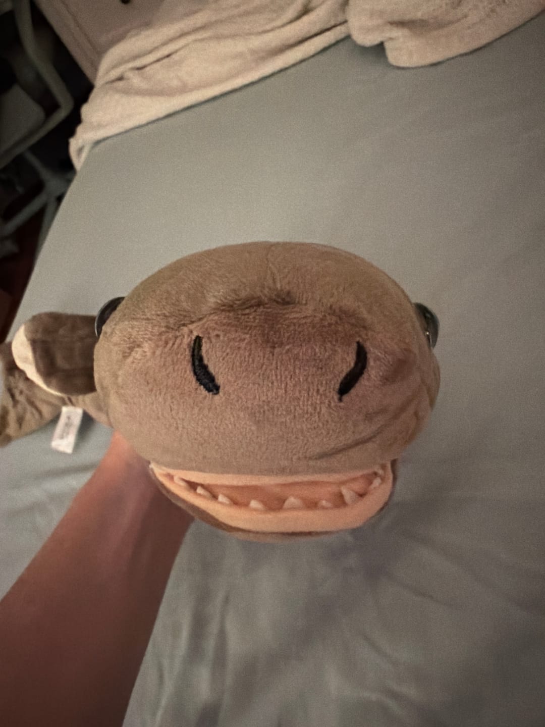 Customer photo review of Cookiecutter Shark Plush Toy – Soft, Realistic Design, Perfect for Shark Lovers