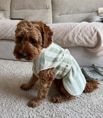 Customer photo review of Matcha Stripe | The Cosy Cloak Drying Robe