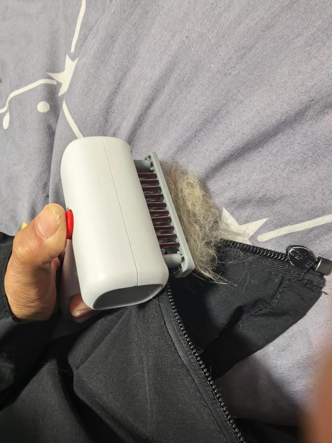 Customer photo review of 2-in-1 Pet Grooming Brush for Dogs & Cats