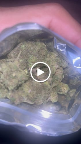 Customer video review of Money Over Bitches (MOB) THCA Flower