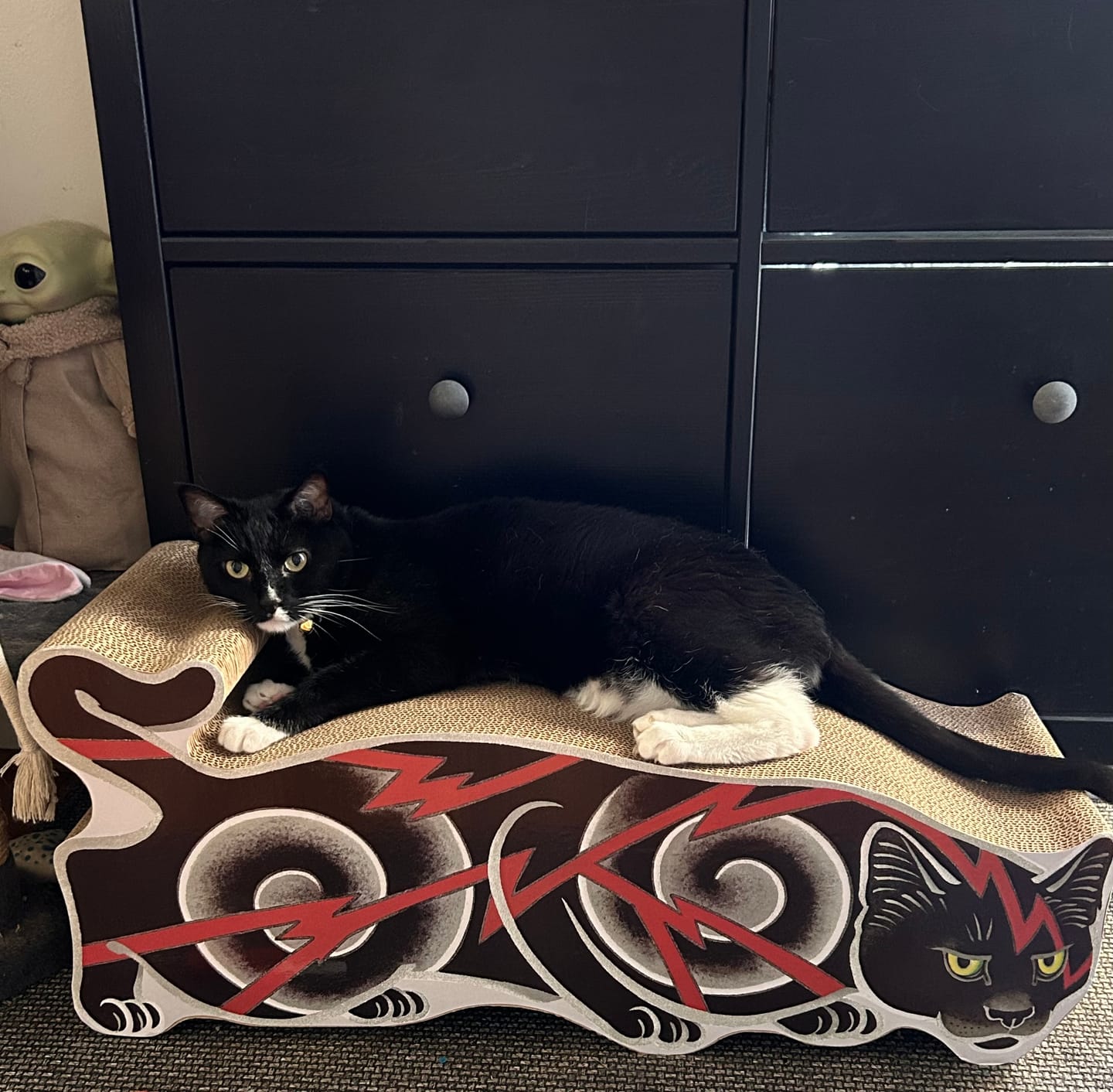 Customer photo review of Electric Cat Scratcher