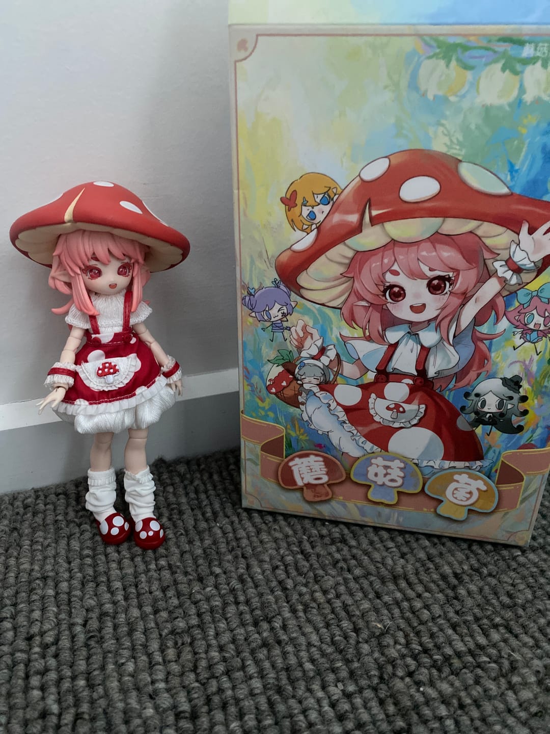 Customer photo review of Mushroom Mycelium Naming Series 1/12 Action Figure BJD Blind Box