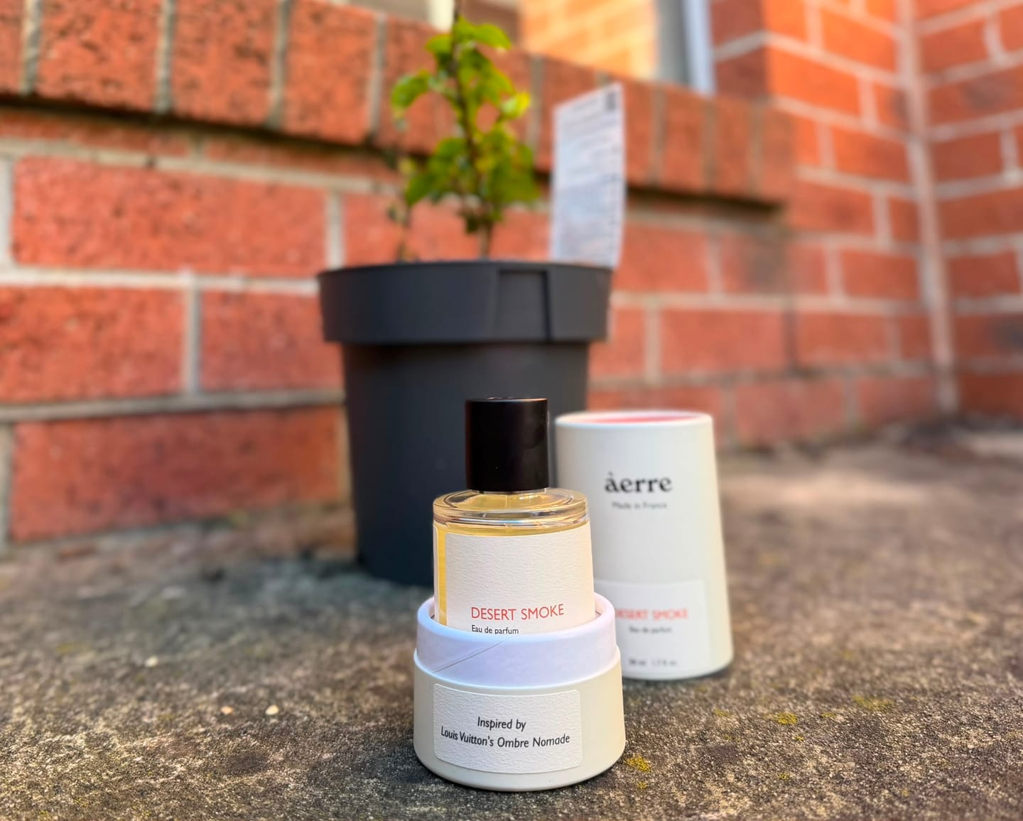 Customer photo review of Desert Smoke