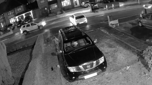 Customer photo review of 2-Pack SecureView™ 4G LTE Solar Security Camera | 360° Pan-Tilt, 2K Night Vision