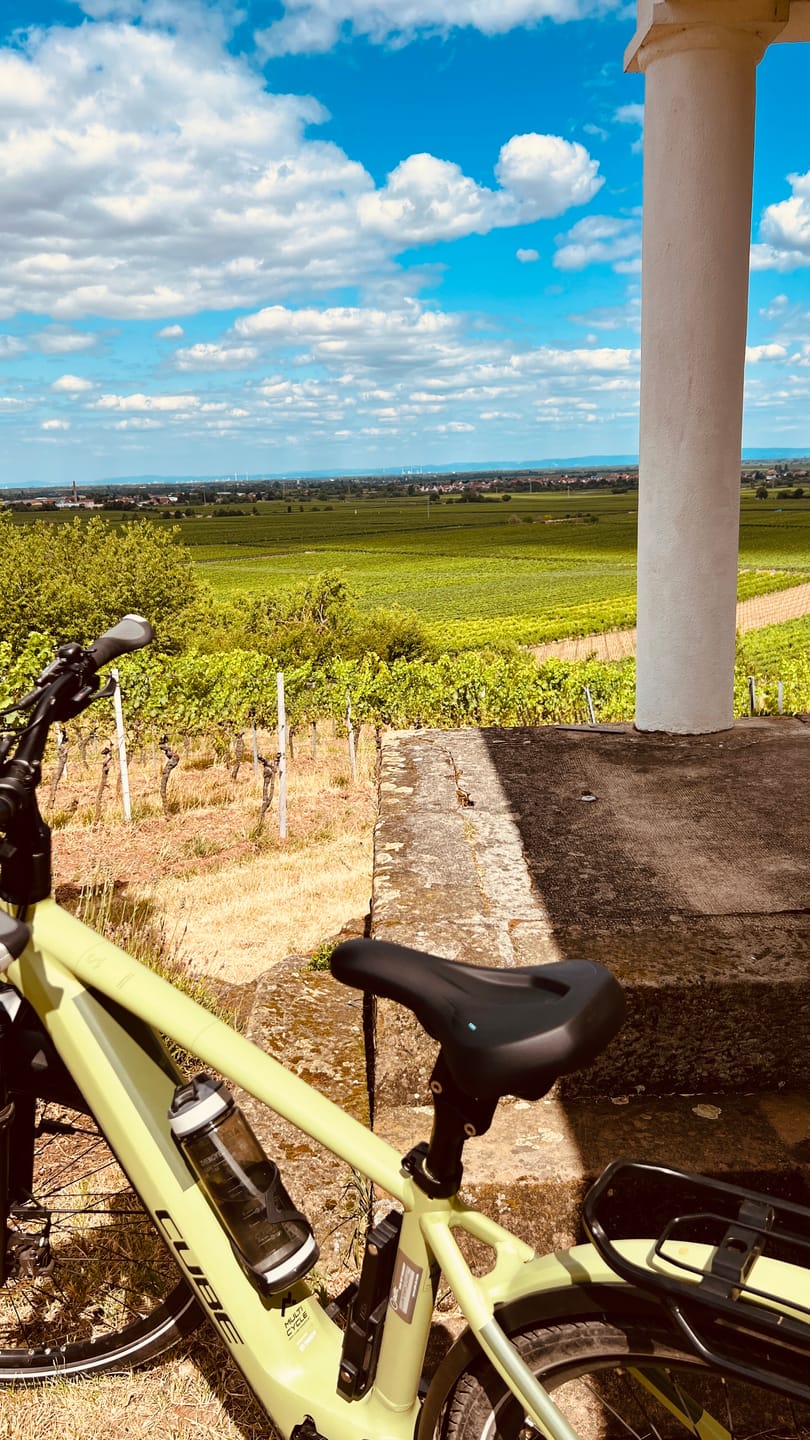 Customer photo review of NEXTCOVER® Fahrradsattel ComfortOne - das Original