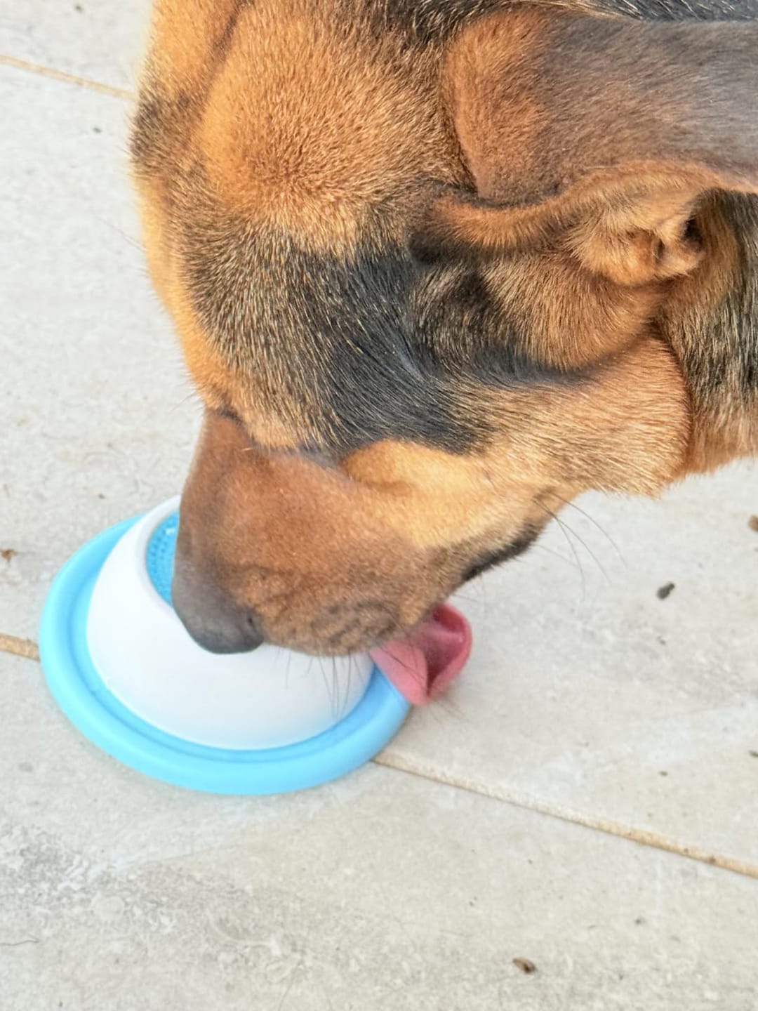 Customer photo review of Slow Feeder Dog Bowl for Liquid Treats Non-Slip & Easy Clean
